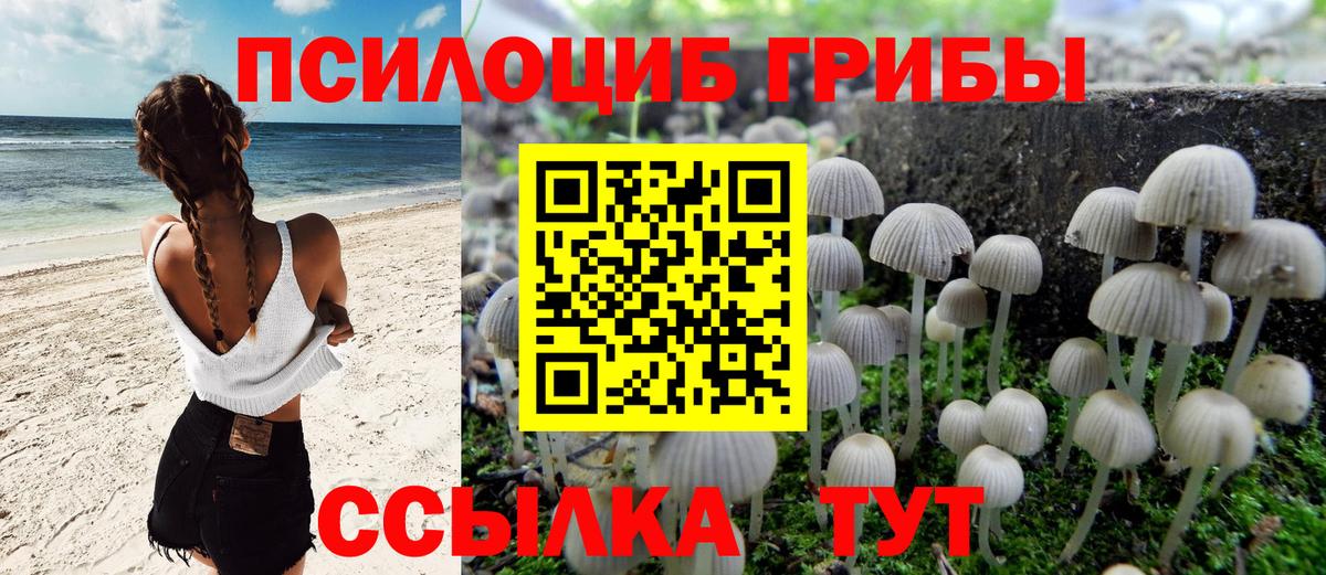 Псилоцибиновые грибы MAGIC MUSHROOMS  Галлюциногенные грибы мухоморы  Вход с VPN  Кубинка 