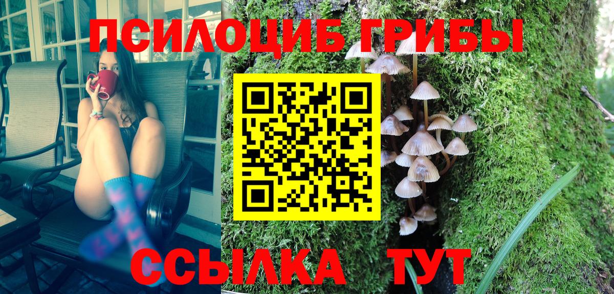 Галлюциногенные грибы мухоморы Кубинка